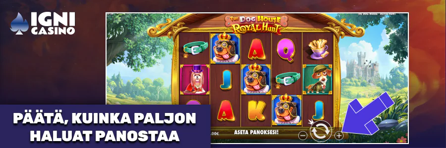 Aseta panoksen määrä Igni Casino pelissä, säädä panostasoa.