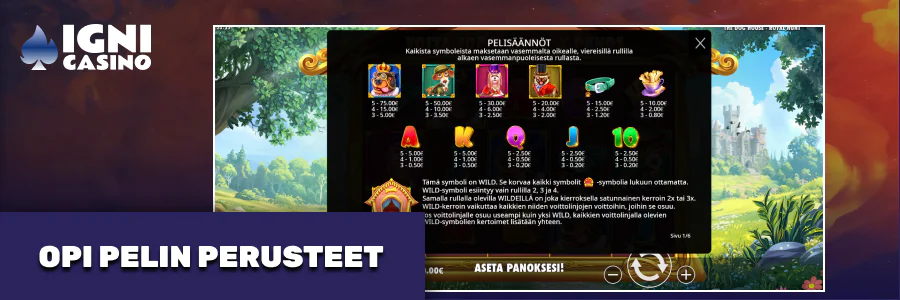 Lue Igni Casino pelin säännöt, ymmärrä pelattavuus ennen pelaamista.